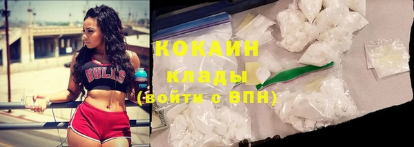 сатива Белоозёрский