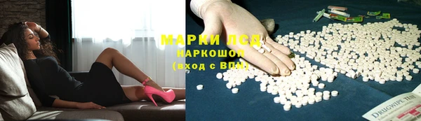сатива Белоозёрский