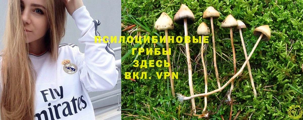 кокаин колумбия Белокуриха