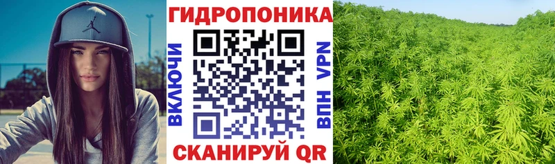 где продают   Волосово  МАРИХУАНА планчик 